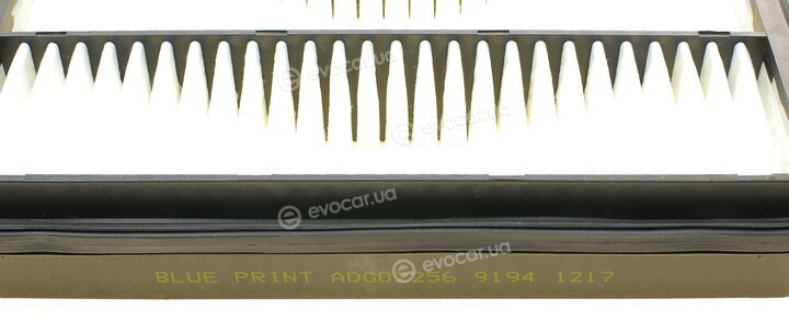 Blue Print ADG02256