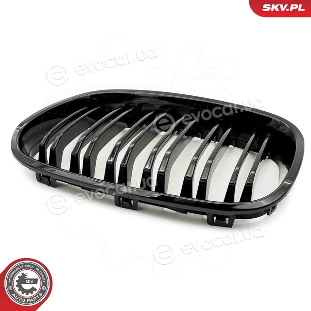 SKV 66SKV016