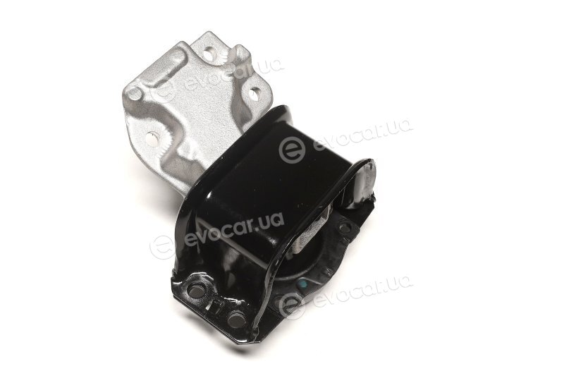 Sasic 2700049