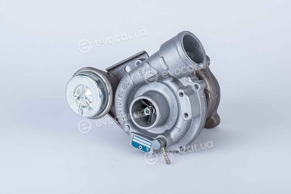 BorgWarner 53039880029