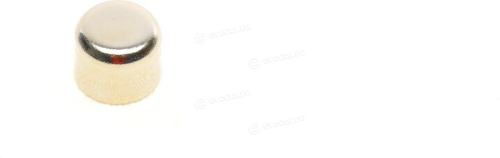 Continental CT1179WP4