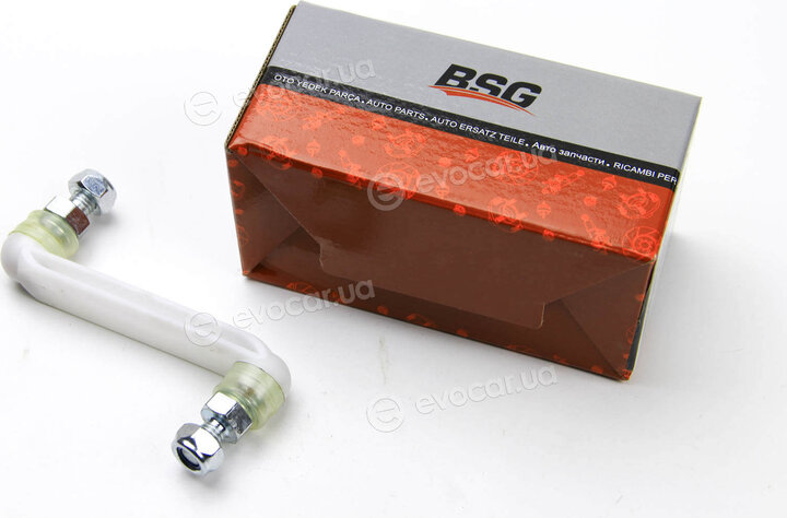 BSG BSG 60-310-171