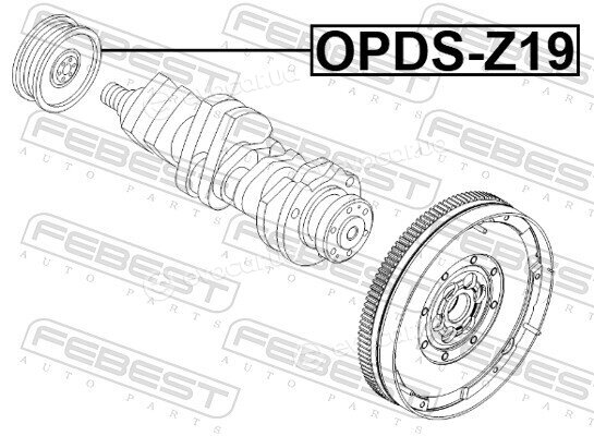 Febest OPDS-Z19
