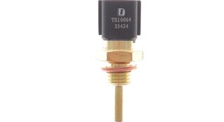 Delphi TS10064