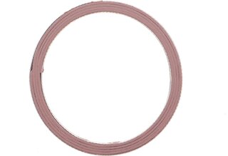 Elring B44.310