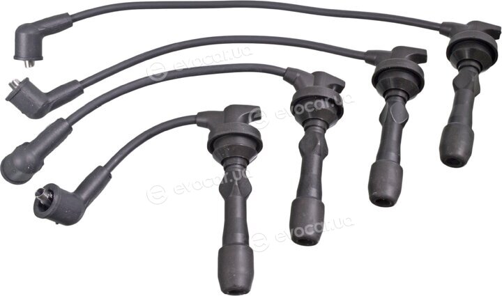 Blue Print ADG01658