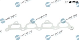 Dr. Motor DRM02160