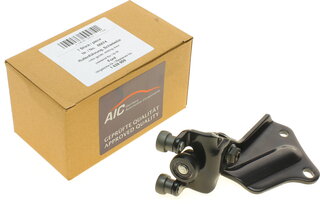 AIC 55574