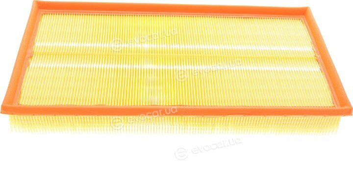 Mann C 37 153