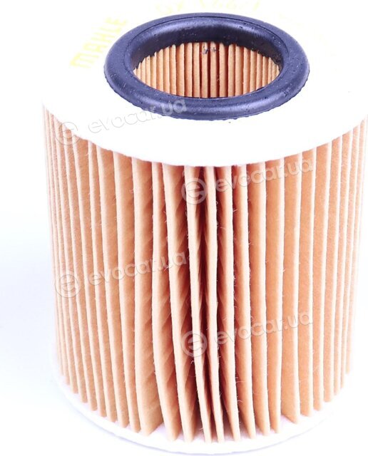 Mahle OX 166/1D
