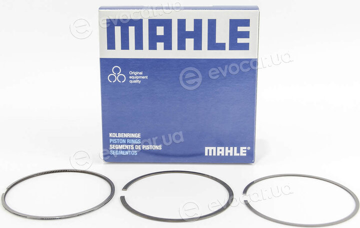 Mahle 030 77 N1