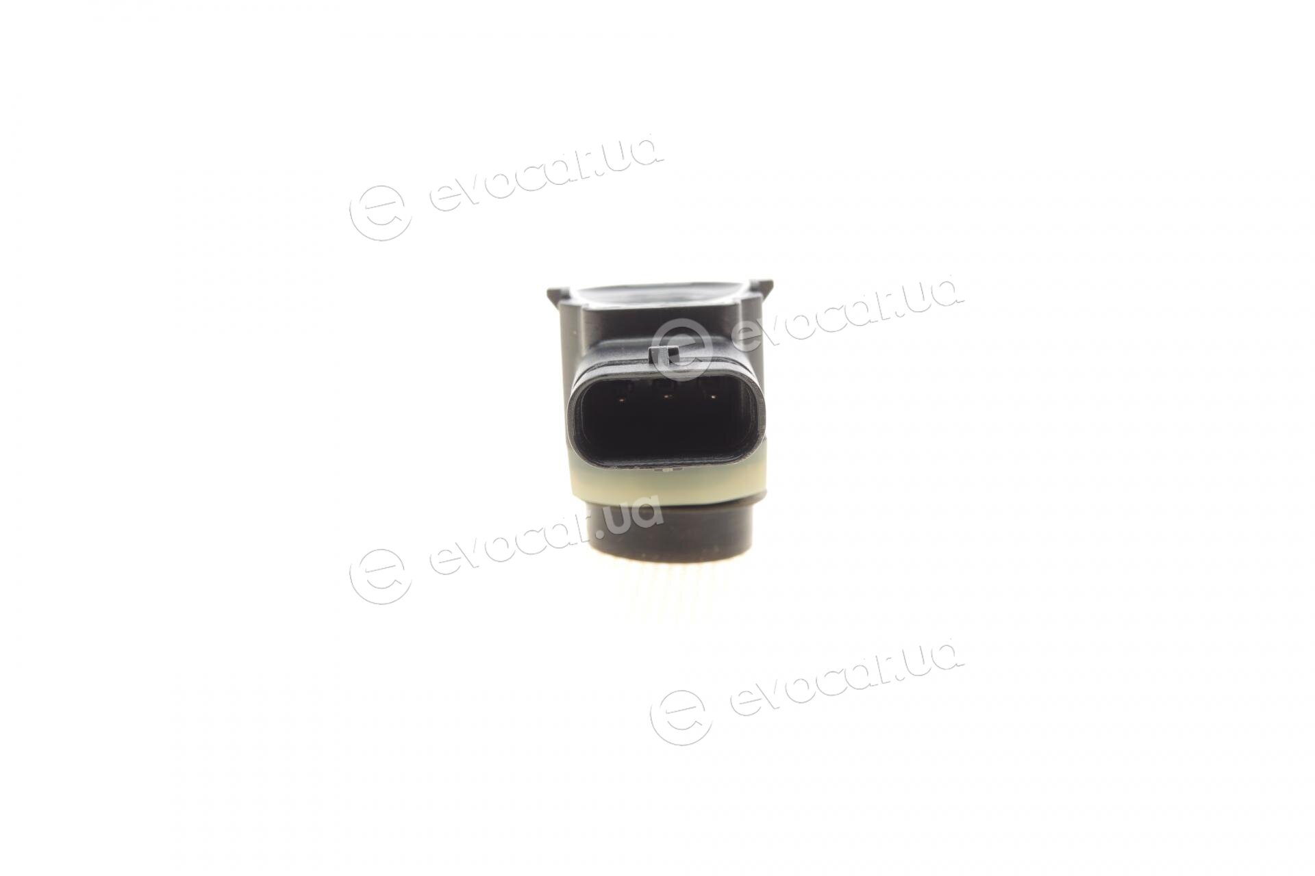 AIC 54613