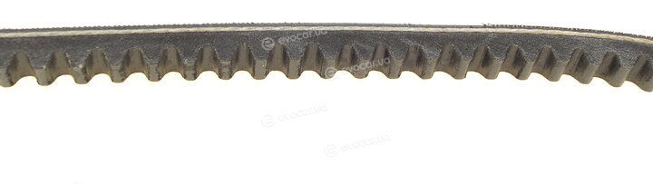 Continental AVX10X850
