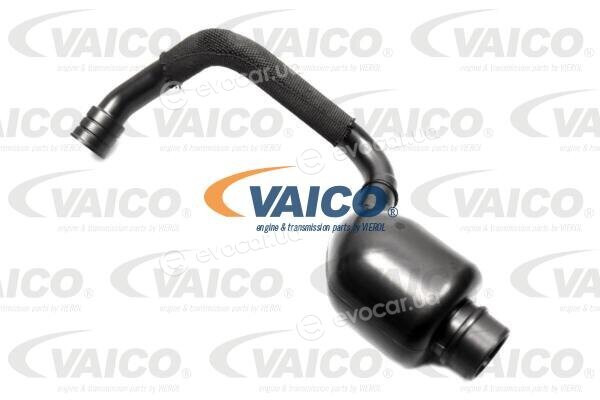 Vaico / Vemo V10-4491