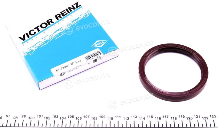 Victor Reinz 81-23001-20