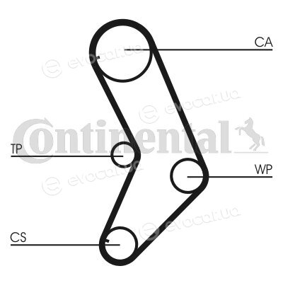 Continental CT999WP1