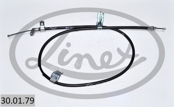 Linex 30.01.79