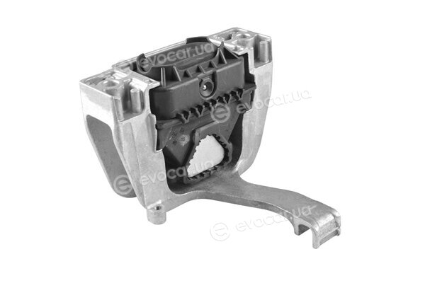 Tedgum TED44110