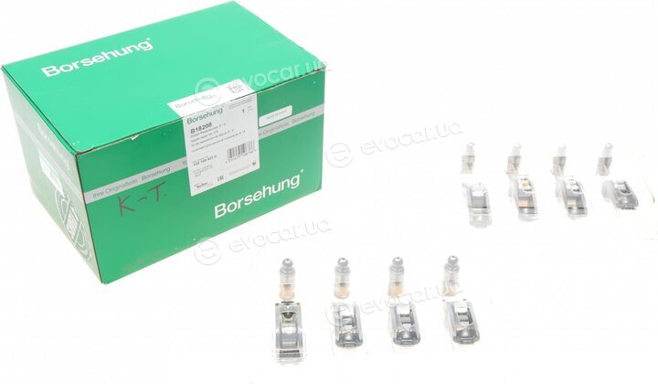 Borsehung B18208