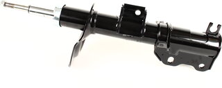 Zilbermann 06-816