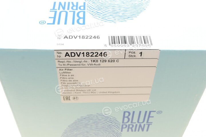 Blue Print ADV182246