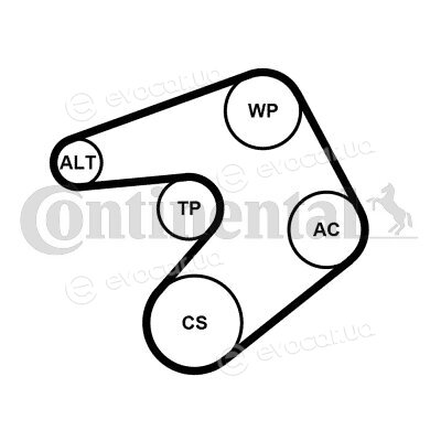 Continental 6PK1205K1