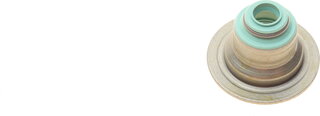 Elring 165.560