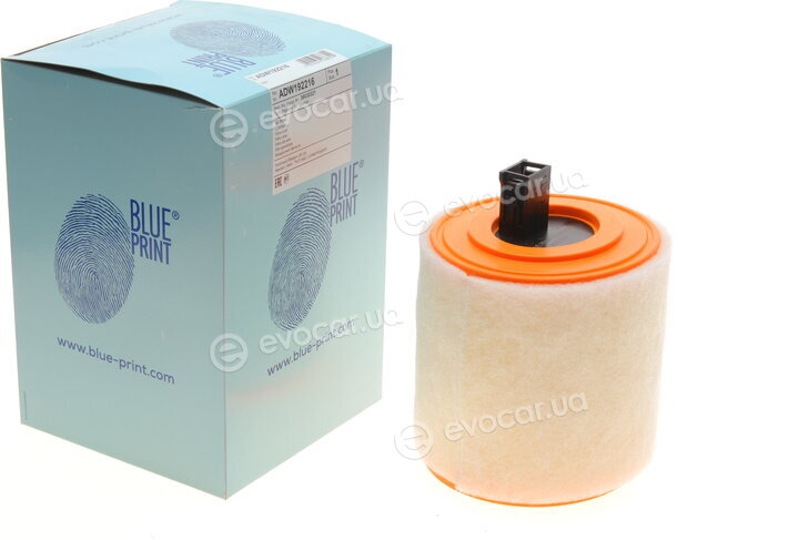 Blue Print ADW192216