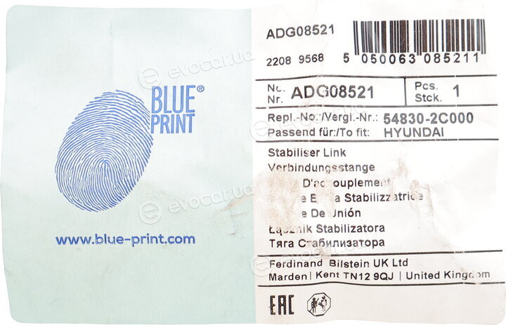 Blue Print ADG08521