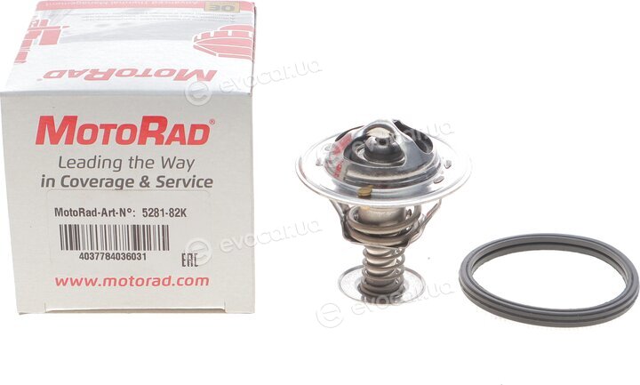 Motorad 281-82K