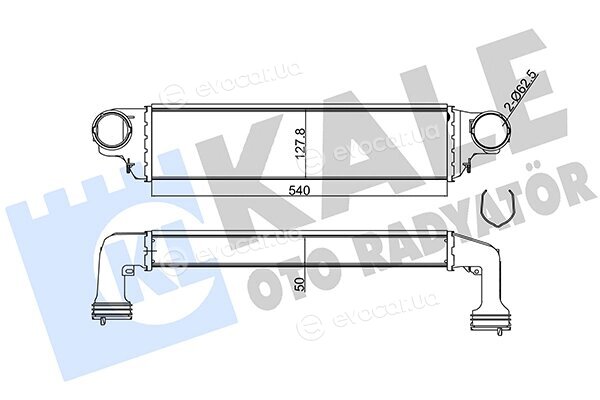 Kale 344805