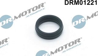 Dr. Motor DRM01221