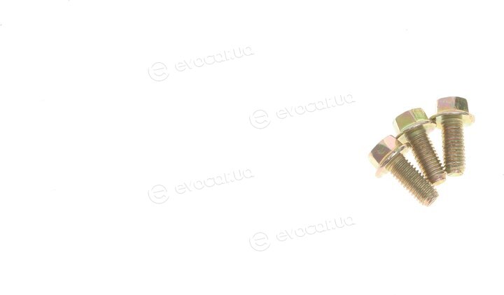 Solgy 112021