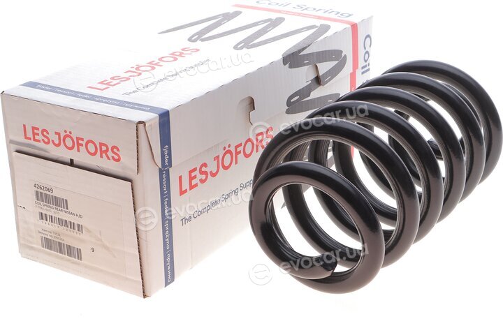 Lesjofors 4262069