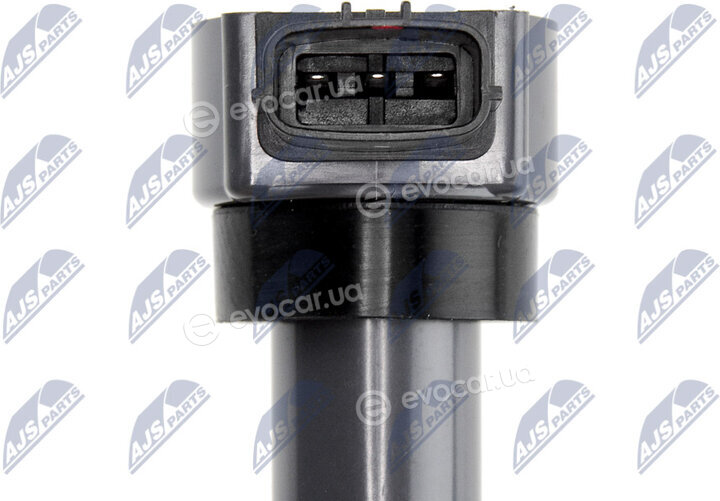 NTY ECZ-MS-016