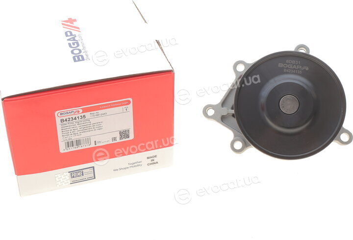 Bogap B4234135