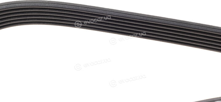 Dayco 6PK1733