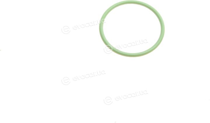 Elring 595.090