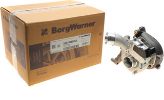 BorgWarner 53049880054
