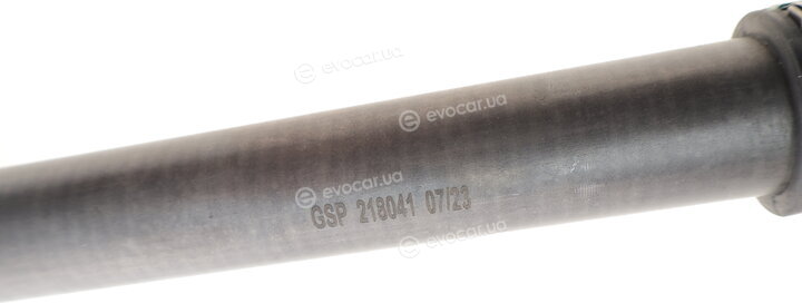 GSP 218041