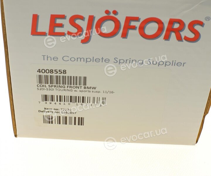 Lesjofors 4008558