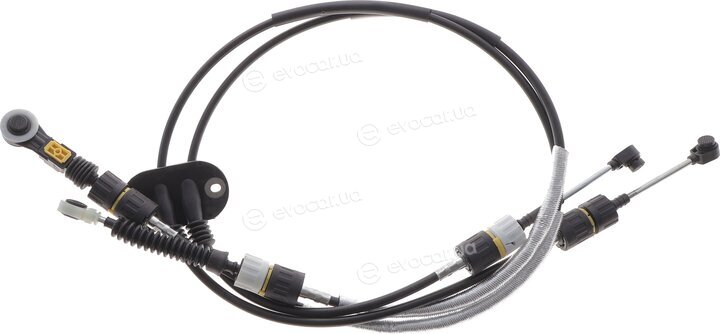 DP CP 42401 BNS