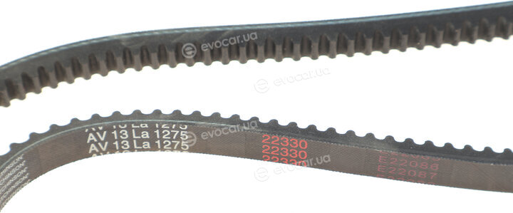 Hutchinson AV 13 La 1275