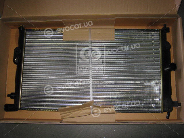 AVA OLA2190