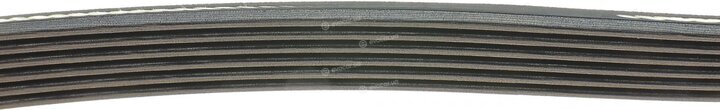 Dayco 6PK1710