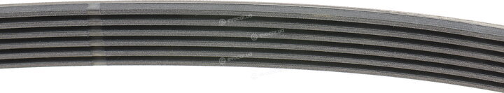 Continental 6PK1502 EXTRA