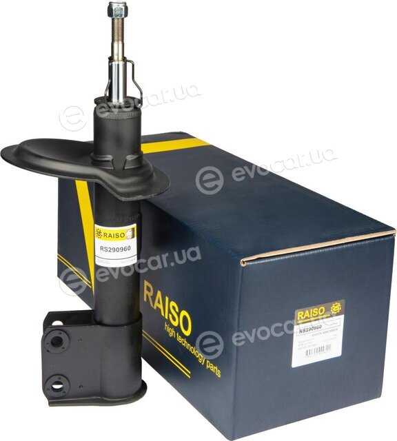 Raiso RS290960