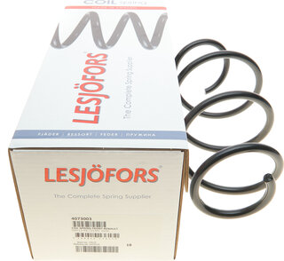 Lesjofors 4073003