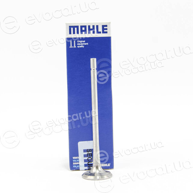 Mahle 021 VA 30921 100