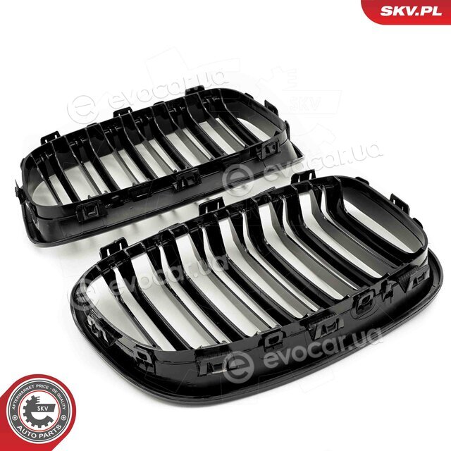 SKV 66SKV016
